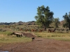 harding-land-and-cattle_016