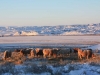 harding-land-and-cattle_077
